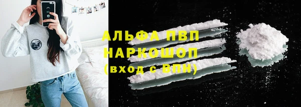 стаф Алексин