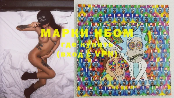 стаф Алексин