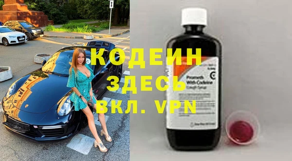 стаф Алзамай