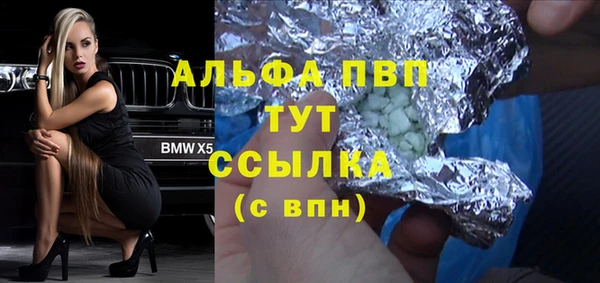 стаф Алексин