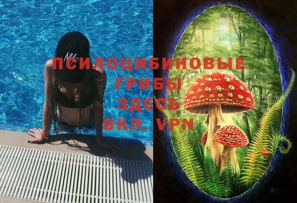 стафф Абинск